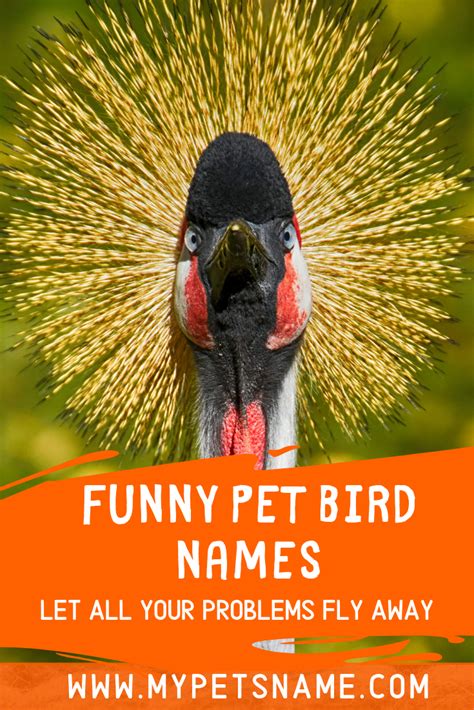 Funny Animal Names 120 Hilarious Side Splitting Unbelievable Names