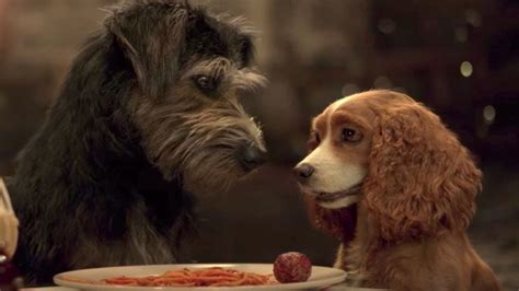 Lady And The Tramp — See First Trailer For Disney Live Action Remake