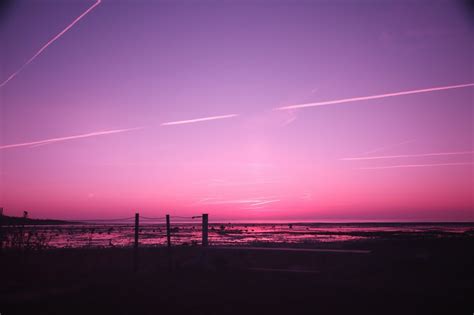 500 Stunning Pink Sunset Pictures Download Free Images