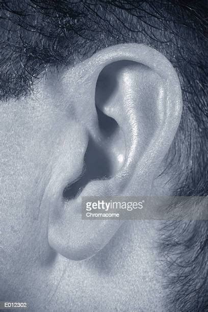 Earlobe Photos And Premium High Res Pictures Getty Images