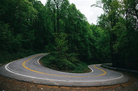 Winding Road Surrounded By Trees Hd Wallpaper Peakpx