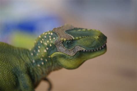 Free Images Animal Green Predator Reptile Fauna Close Up