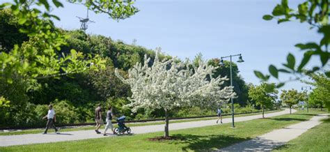 Maybe you would like to learn more about one of these? Eastern Promenade Trail | Trail, Portland trail, Promenade