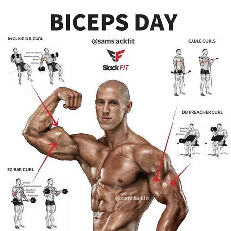 The Absolute Best Biceps Workout 4 Biceps Exercises That Build Big