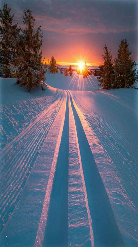 Winter Sunrise Title Skiing Into Morning Light By