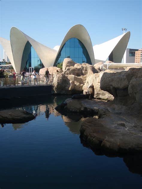 Valencia Spain Aquarium Spain Travel Spain Travel