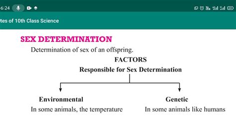 Sex Determination Class 10 Heredity And Evolution Science Youtube