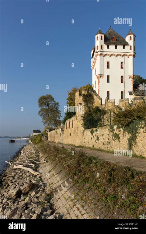 Electoral Castle On The Rhine Eltville Am Rhein Rheingau Hesse