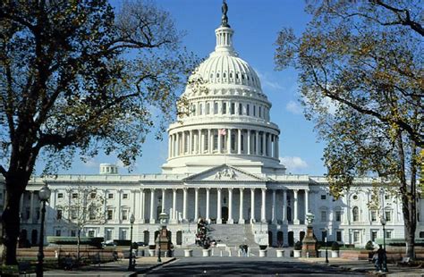 What Is The Meaning Of Legislative Branch Concept Definition Of