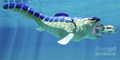Dunkleosteus Fish Eats Sea Perch Digital Art By Corey Ford Fine Art