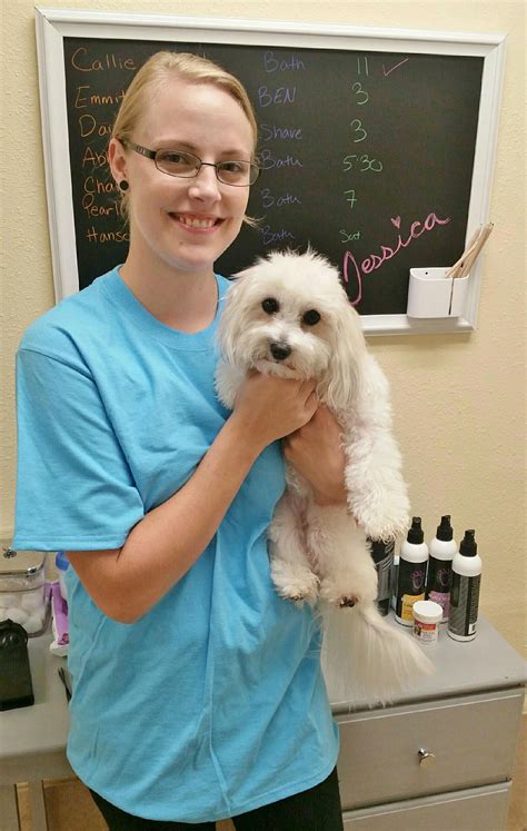 Pet Boarding in Matthews NC | Pet Paradise