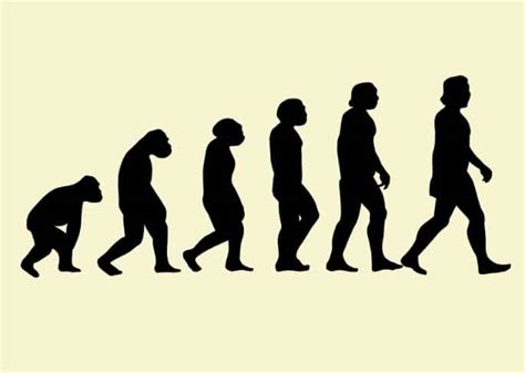 Evolucionismo Teoría Darwiniana Y Su Desarrollo Definiciones Y Conceptos