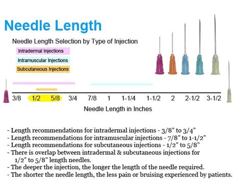 Medical Needle Types Sizes Color Coding And Uses 60 Off