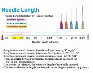 Syringe And Needle Sizes How To Choose Guide Laboratoryinfo Com