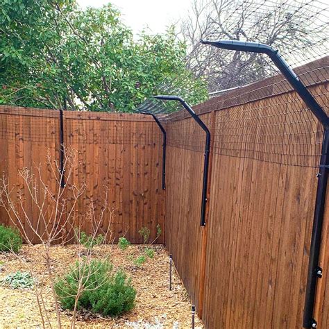 How To Dog Proof A Privacy Fence Dyan Parson