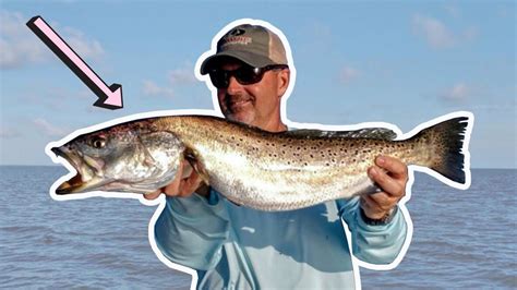 How To Catch Gator Speckled Trout In The Pamlico Sound Outer Banks
