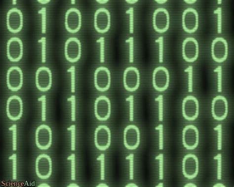 Types Of Computer Number Systems Binary And Decimal Scienceaid