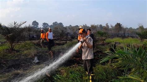 Pemadaman Dibantu Helikopter Wb Hektar Kebun Sawit Di Pangkalan