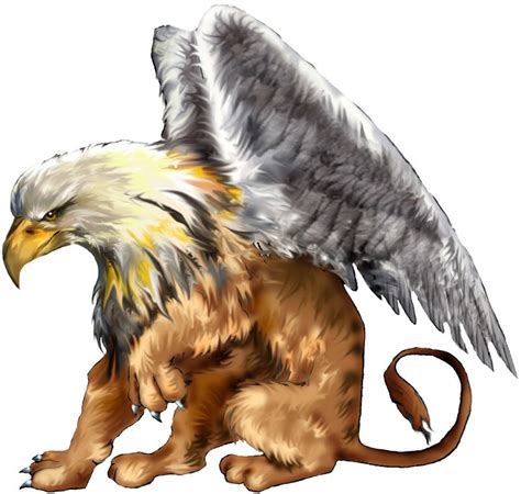 1000 Images About Griffons Hippogriffs And Pegasus On Pinterest