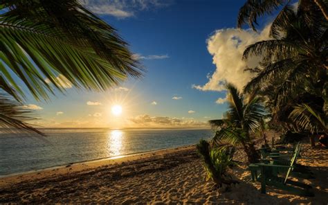 Download Wallpapers Beach Sunset Ocean Palm Trees Cook Islands
