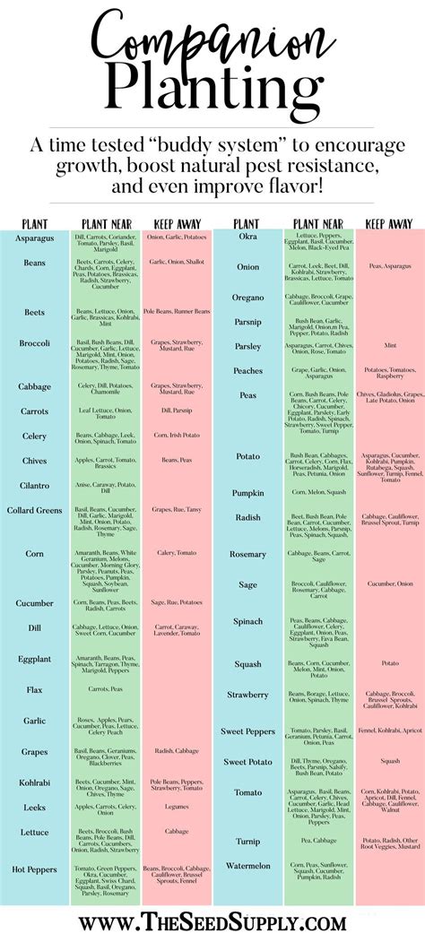 Companion Planting Guide Chart