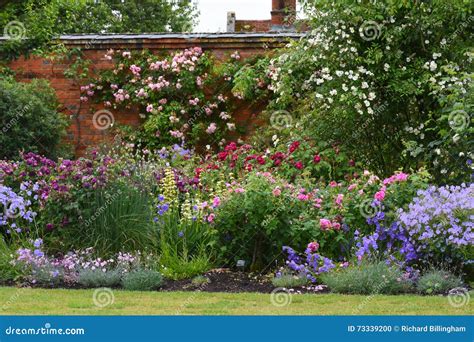 Roses Mottisfont Abbey Hampshire England Stock Photo Image Of