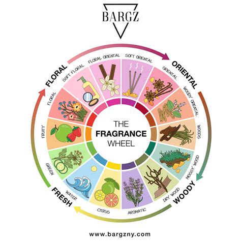 How to use a Fragrance Wheel : Fragrance Oil Blending Secret | Bargz