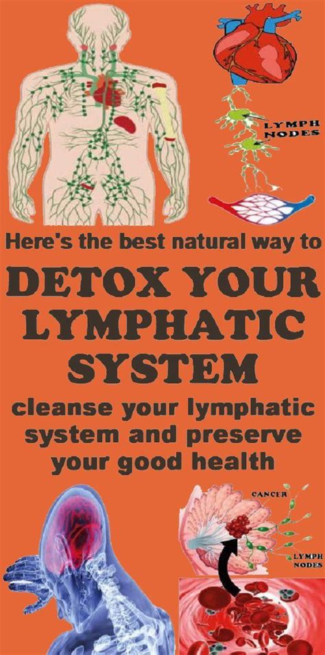 Natural Lymphatic System Detox Remedies To Help Your Body Detox