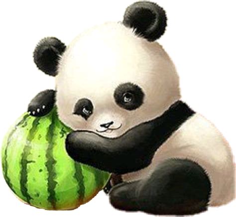 Panda🐼 Kawaii Freetoedit Scpanda Panda Sticker By Tuture