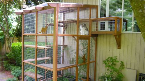 Between our experienced staff, low rates and certified teaching professionals, our goal is to make crestmont indoor tennis club one of the. A 'Catio' Gives Your Indoor Cat a Taste of Nature | Mental ...