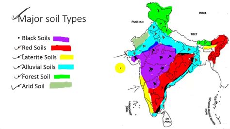 मृदा का वर्गीकरण Major Soil Types Of India Map Class 10th Geography