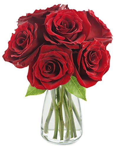 Kabloom The Romantic Classic Red Rose Bouquet Of 6 Fresh Cut Red Roses