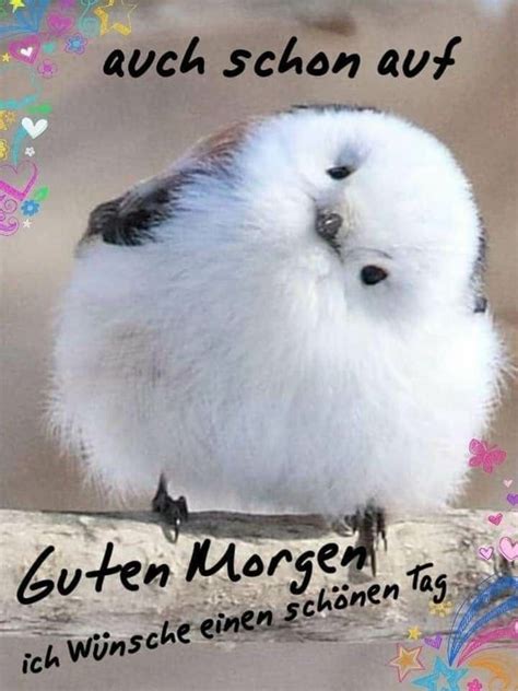 Weitere ideen zu lustige bilder, tom and jerry, guten morgen lustig 28. Pin von Biggi Seele auf Tagesgrüße | Guten morgen, Liebe ...