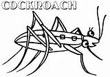 Cockroach Coloring sketch template