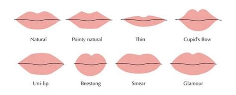 Lip Shape Guide Types Of Lips Shape Different Lips Types Lip Types