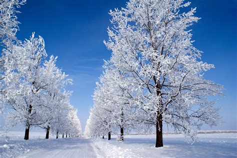 Snowy Winter Wallpapers High Quality | Download Free