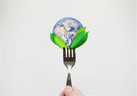 How Can Sustainable Food Be Used To Fight Climate Change Asiana Times