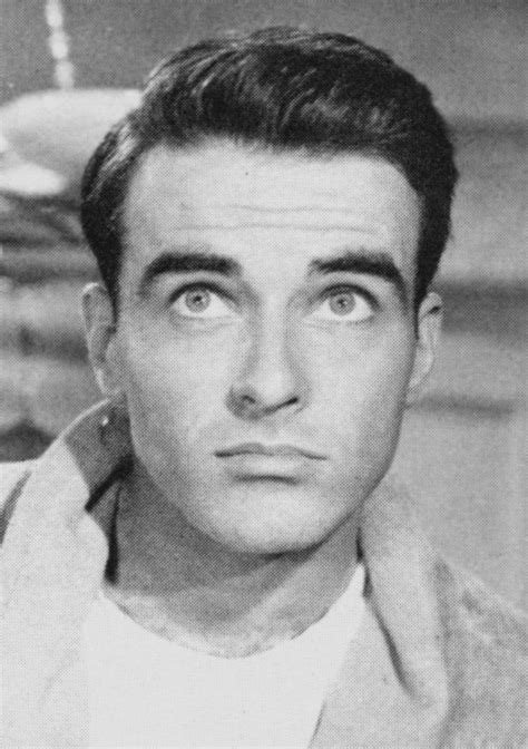 Something Kitten This Way Comes Montgomery Clift Actors Montgomery