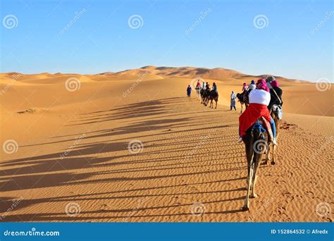 Desert People On Camels The Western Sahara In Morocco Africa Stock