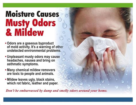 We did not find results for: Mold, Mildew & Musty Odors - Coastal Dry Home Mold ...