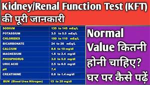 Kidney Renal Function Test Kft क Normal Range क य ह न च ह ए घर पर