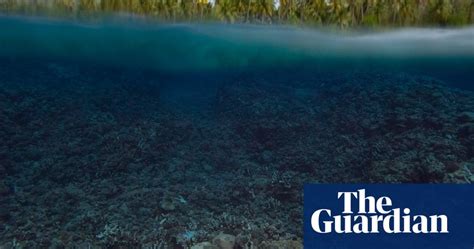 The Pacific Islands Losing A Way Of Life To Climate Change In