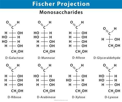 D Galactose Fischer Projection