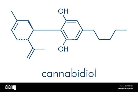 cannabidiol cbd cannabis molecule has antipsychotic effects skeletal formula stock vector