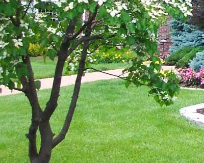 Maybe you would like to learn more about one of these? About Lawn Care in Columbus, GA