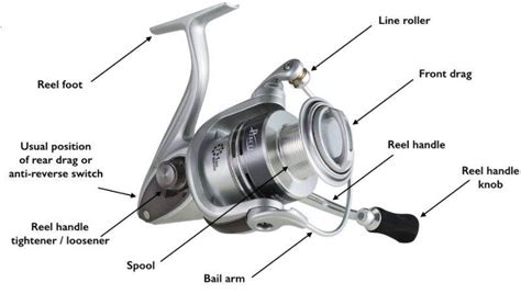 What Are The Parts Of A Spinning Reel Outdoor Craving