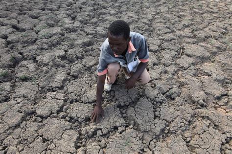Drought Stricken Zimbabwe Declares State Of Disaster The Columbian