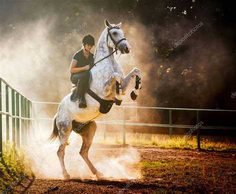 Woman Riding A Horse In Dust Beautiful Pose On Hind Legs