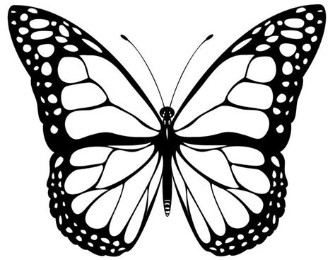 Gambar sketsa hewan kupu kupu. 17+ Sketsa Kupu-kupu Terbaik & Terlengkap + Cara Menggambar!