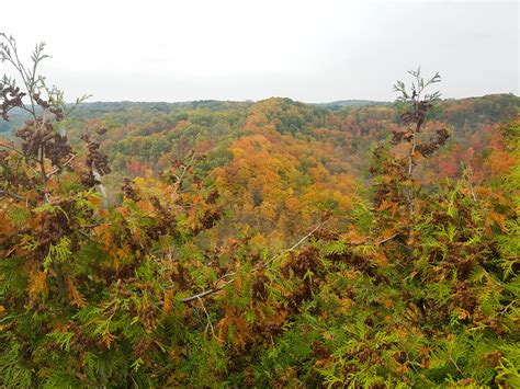 Dundas Peak The Best Place To See Fall Colors In Canada Ilse On The Go